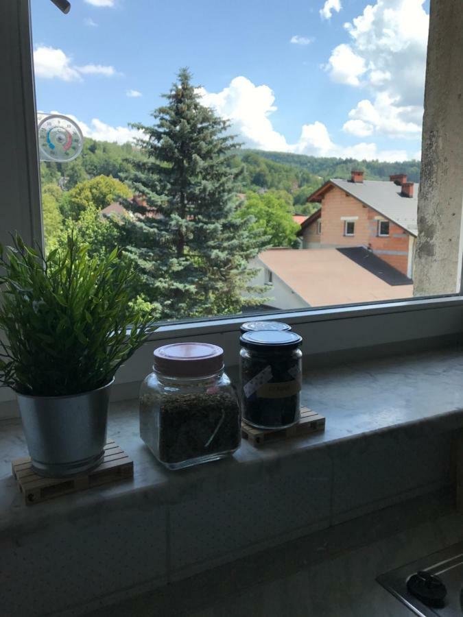 Apartament Przy Rynku Вісла Екстер'єр фото