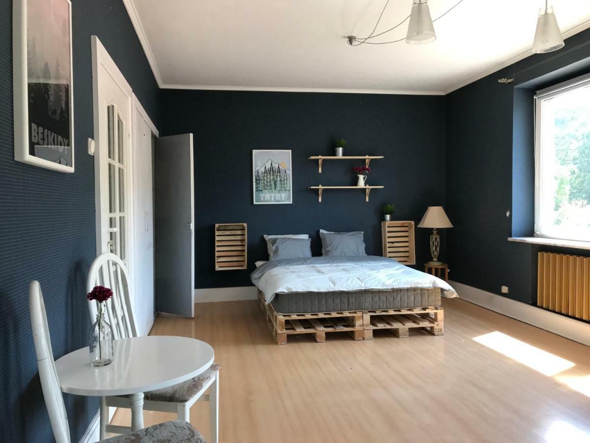 Apartament Przy Rynku Вісла Екстер'єр фото